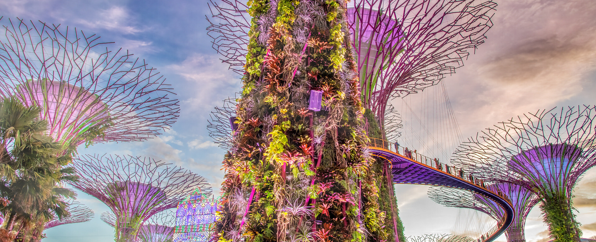 SINGAPORE - JANUARY 1ST, 2020: Garden Rhapsody light shows in the Supertree Grove, Gardens By The Bay city park, located in Marina Bay area