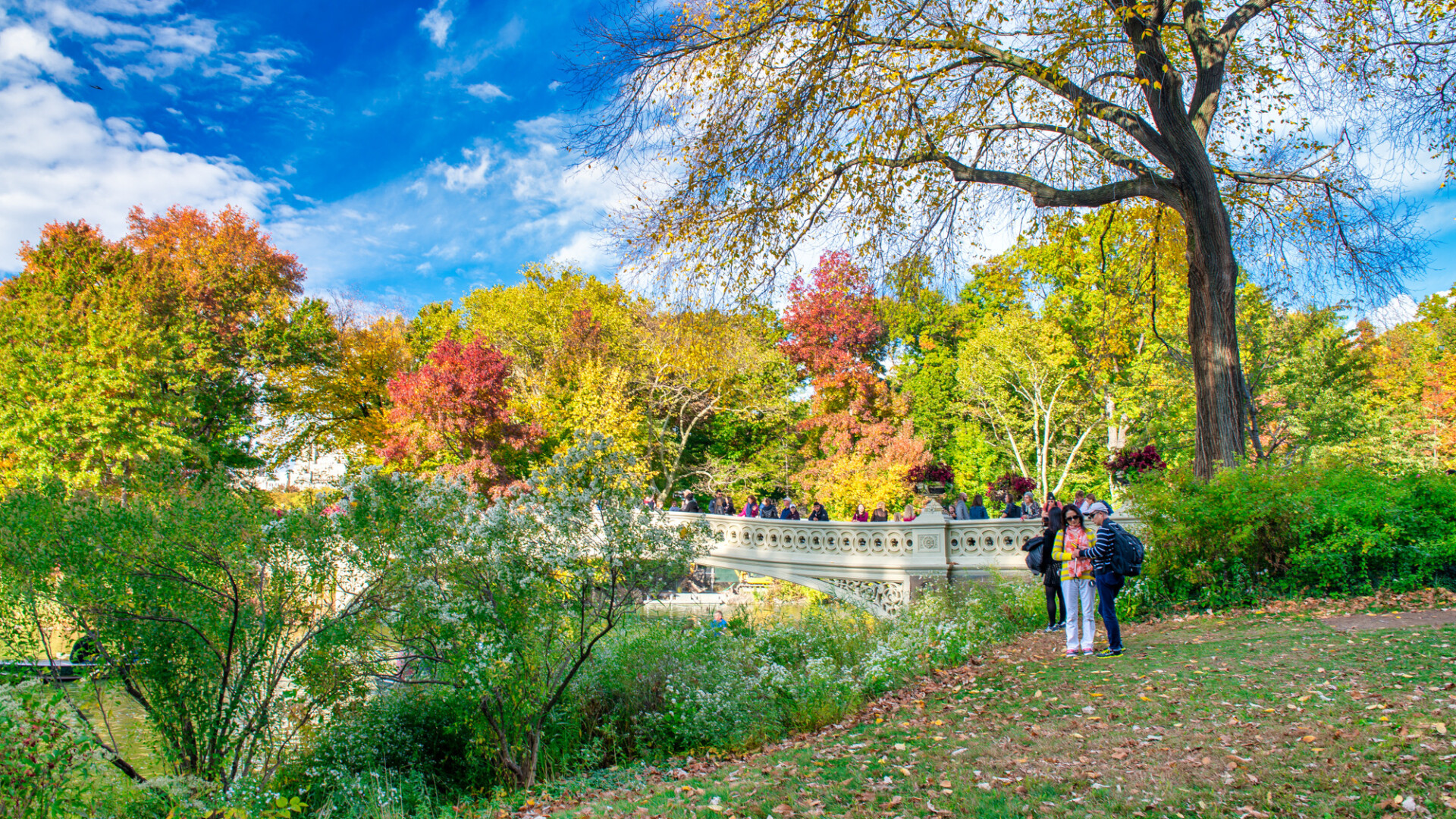 NEW YORK CITY, USA - OCTOBER 25TH, 2015: Tourists walk along Central Park Bow Bridge in foliage season. It is a main city attraction